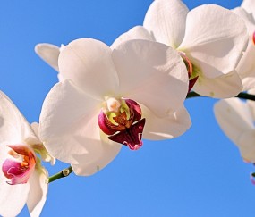 荣昌正规助孕捐卵机构，附正规捐卵机构报名表！